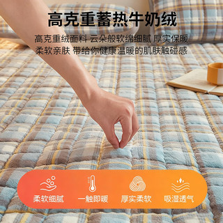 红蜻蜓（RED DRAGONFLY）床垫褥子牛奶绒床垫上面铺的褥子1.5x2米被褥铺底床垫软垫加厚 良品-简兮绿【品质款 加厚绒边】 150*200cm单床垫