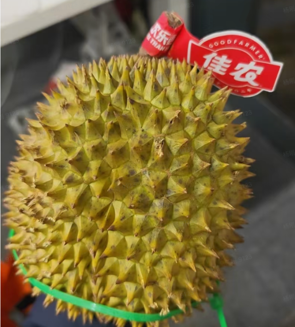 盒马鲜生 佳农 青皮树熟越南干尧榴莲 4斤