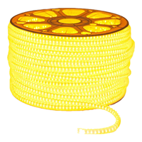 拉伯塔双面圆形暖光灯带led灯条220v超亮户外防水屋檐外墙夜景氛围灯 120灯【10米】360°双面发光 【冰蓝光】送全套配件