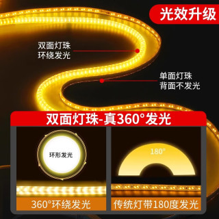 LABOT拉伯塔双面圆形暖光灯带led灯条220v超亮户外防水屋檐外墙夜景氛围灯 120灯【10米】360°双面发光 【中性光】送全套配件