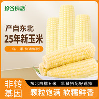 珍谷诱惑 25年东北白糯玉米12支
