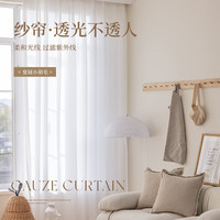 雷纳丝格精品窗帘窗纱白纱纱帘阳台遮阳纱窗透光不透人绣花纱 皇冠小羽毛 价格