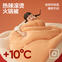 百亿补贴：网易严选 火锅被加厚被芯懒人被A类春秋被子大豆纤维单人学生冬被150*200