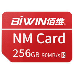 佰维 畅快拍摄存储 NM存储卡  256GB