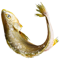 海名威  宁德三去大黄鱼 对半厚切黄花鱼 净重700g/2片 海鲜水产鱼类 厚切半片鱼700g 2片