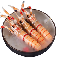 粤海湾 新西兰鳌虾刺身 海鳌虾深海虾scampi斯干比鳌虾 中秋年货 2号1kg（10-15只） 新西兰刺身鳌虾