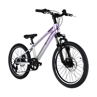 Kinderkraft KK儿童自行车4-6-12岁单车青少年男女孩新年山地车24寸紫