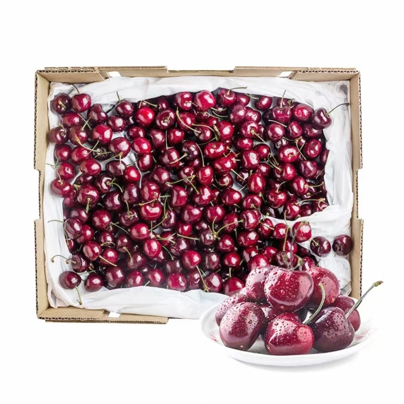 今日必买：小象超市 现货车厘子 智利进口 4J 32mm以上 礼盒装 2.5kg