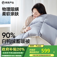 网易严选 90%鸭绒被羽绒被子A类静音抗菌 秋冬被1.5米床适用2*2.3m 秋冬被 200*230cm
