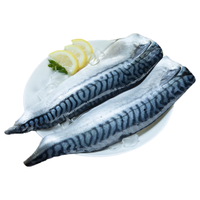 卖鱼七郎原切国产青花鱼片净重3斤 冷冻鲭鱼片胎鲅鱼青占鱼 海鲜生鲜鱼类 国产原切青花鱼片3斤装