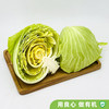 有机汇有机绿甘蓝 生鲜包菜大头菜 新鲜有机 产地种植 营养丰富零农残  脆甜水果甘蓝 500g