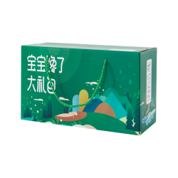 宝宝馋了 儿童零食年货礼包 534g