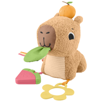 费雪(Fisher-Price)早教启蒙学习礼盒婴幼儿礼盒-费雪毛绒卡皮巴拉JFW58