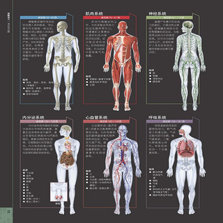 《DK人体大百科》第3版 关于人体解剖结构 功能和疾病的图解指南