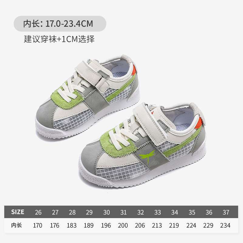 灰绿色-Q31CYYX436