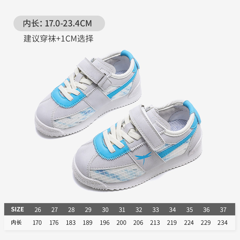 灰蓝色-Q31CYYX436