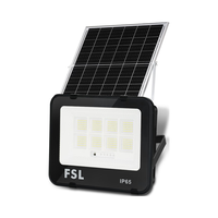 FSL佛山照明太阳能照明灯路灯户外庭院灯防水led投光灯 9W白光
