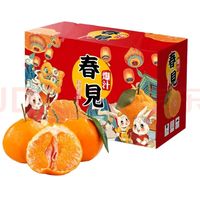 乌仙子 精选四川春见耙耙柑， 9斤【果王】