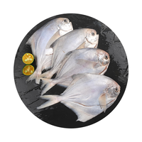 纯色本味 冷冻舟山全清鲳鱼 白鲳 银鯧 免清理 地标产品 400g 