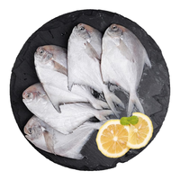 SOLID STANDARD 纯色本味 舟山银鲳鱼 4-5条 400g
