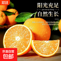 2025脐橙纽荷尔脐橙当季产地直发橙子新鲜采摘 带箱8斤65-70mm净重7.2斤