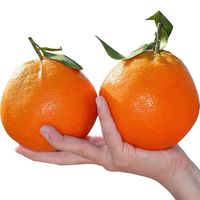 MPPMCK浦江春见耙耙柑当季新鲜水果 包装 下单拍2份个合发一箱  春见耙耙柑 4.5斤装净重4斤果径80m m+