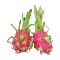 白心火龙果新鲜9斤当季越南热带水果白肉火龙果整箱5