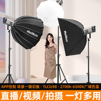 Miele SL200WⅢ双色温专业直播灯补光灯直播间灯光专用拍照打光灯led