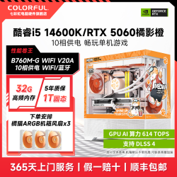 七彩虹 i5 14600KF/RTX5060高性能橘猫游戏主机