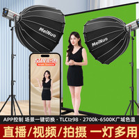 Miele SL300WⅢ双色温专业直播灯补光灯直播间灯光专用拍照打光灯led