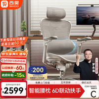 西昊 C300i 智能人体工学椅按摩电脑椅 办公椅子人工力学座椅电竞椅