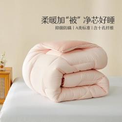 水星家纺 A类抑菌阻螨含十孔纤维冬被子 200cm×230cm