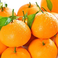 四川春见耙耙柑新鲜水果多汁原产地应当季现摘整箱包速发酸甜大果