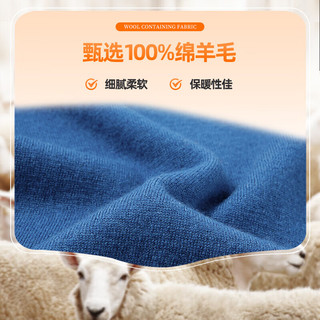 雅鹿【重磅430G】100%纯羊毛衫男加厚秋冬季半高领毛衣简约针织衫 黑色 S /165