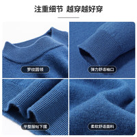 雅鹿【重磅430G】100%纯羊毛衫男加厚秋冬季半高领毛衣简约针织衫 复古棕 L /175