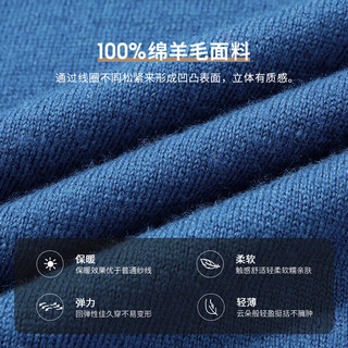 雅鹿【重磅430G】100%纯羊毛衫男加厚秋冬季半高领毛衣简约针织衫 黑色 S /165