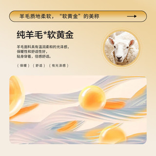 雅鹿【重磅430G】100%纯羊毛衫男加厚秋冬季半高领毛衣简约针织衫 黑色 S /165