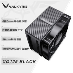 VALKYRIE 风冷散热器