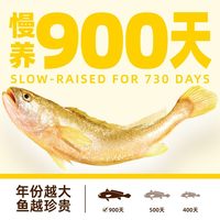 【臻选】一米八深远海大黄鱼好吃年年礼盒新鲜冰冻2.5年份黄鱼