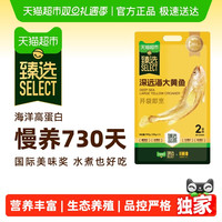 1米8 一米八深远海大黄鱼新鲜冰冻330g*3条