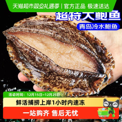 卖鱼郎先生 山东崂山鲍鱼 500g 7-10只/1斤 冷冻