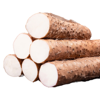 亨泰丰源 铁棍山药 20-30cm 1.5kg