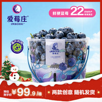 爱莓庄 云南桶装鲜梗蓝莓脆甜新鲜手采现摘 450g/桶 22mm+超大 源头直发