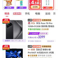 华为 Pura 70 Pro 手机超高速风驰闪拍