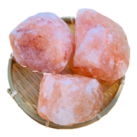 仁心食匠巴基斯坦玫瑰盐喜马拉雅盐玫瑰盐岩盐红矿物盐大颗粒多种用途五斤 玫瑰盐8-10cm5斤