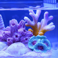 月光水母桌面小鱼缸小丑鱼小型海水缸小型办公室斗鱼水族箱微景观生态套装 造景包(珊瑚摆件+防跳盖)