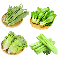 京鲜生 云南高原红香椿芽 1斤装 新鲜采摘 源头空运直发 净重1斤装|头茬采摘