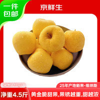 京鲜生 山东黄金维纳斯苹果 净重4.5斤 单果140g+ 时令生鲜 源头直发