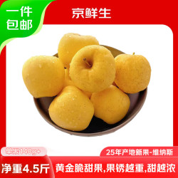 京鲜生 山东黄金维纳斯苹果 净重4.5斤 单果140g+ 时令生鲜 源头直发