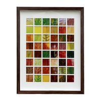 落叶相框48格树叶标本diy捡秋36宫格秋天格子叶子画框收集手工